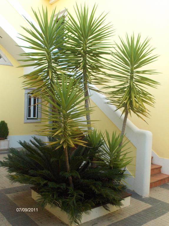 Landhaus Aqc - A Quinta Chama Caldas Da Rainha